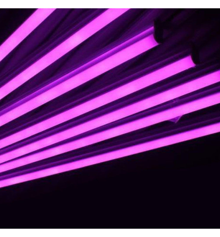 LED Butcher shop Batten 60CM - PINK - T5 9W