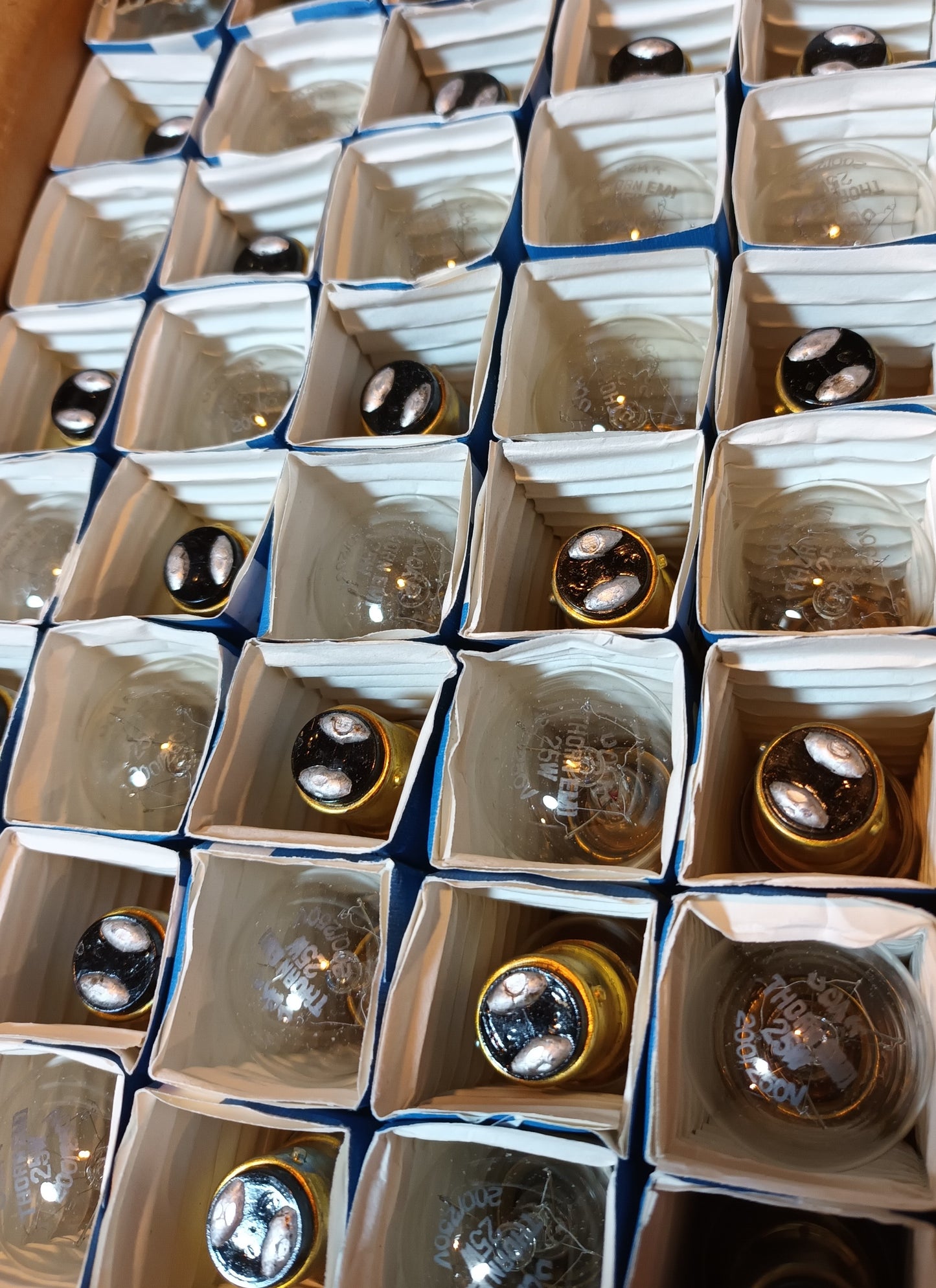 Thorn Lighting Pygmy Sign Lamps 25W Clear SBC / B15 From £1