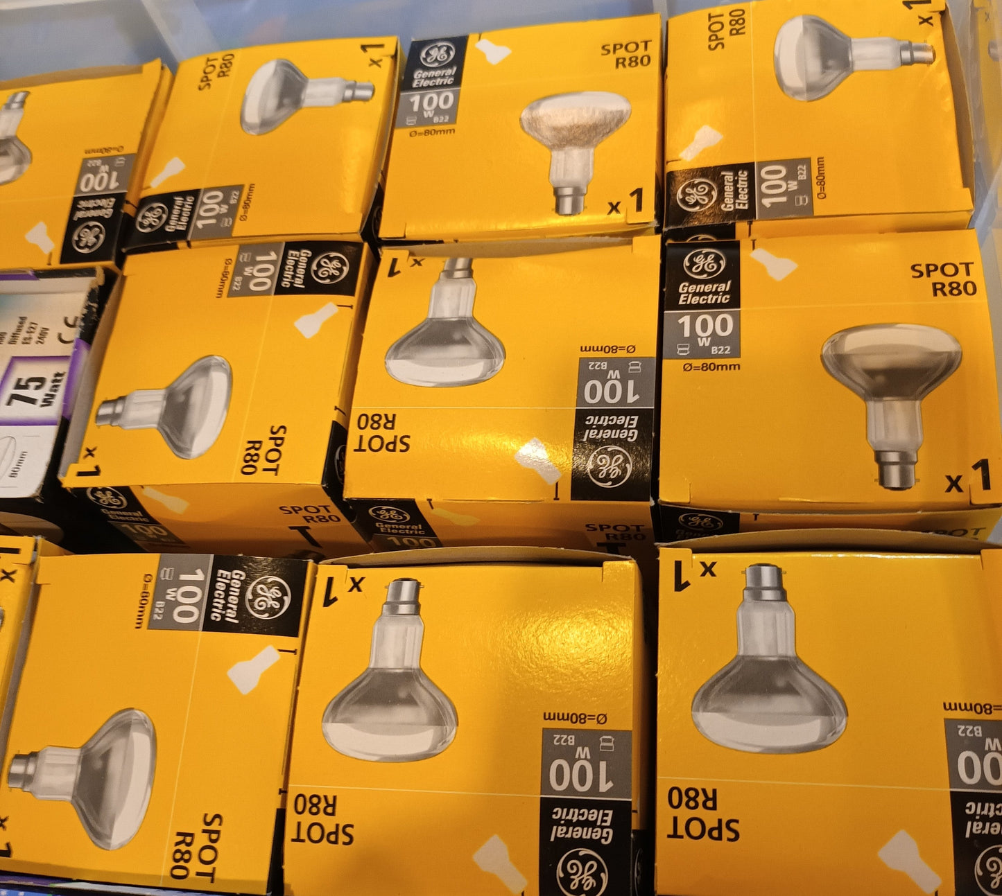 Basking tortoise's lighting 100 Watt R95 BC / B22 cap by GE twin pack