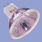 BLV MR16 12V 20W For Butcher's Meat - Beachcomber Lighting