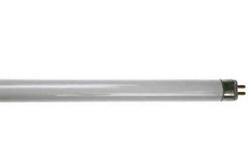 10 X Pack 14W 840 Cool White T5 Fluorescent Tubes 550mm By KOSNIC - Beachcomber Lighting