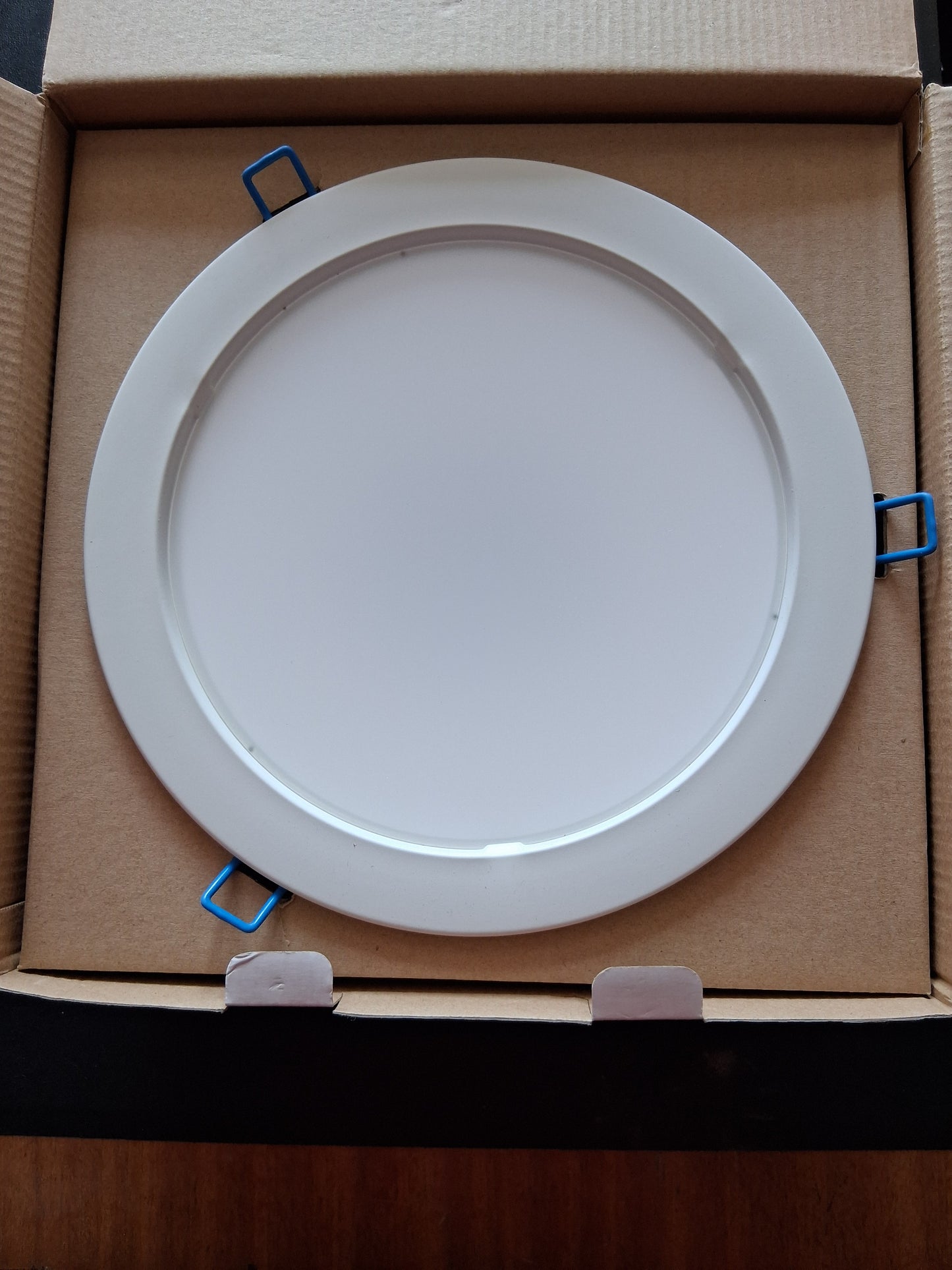 LED Downlight  8" 25 Watt warm white