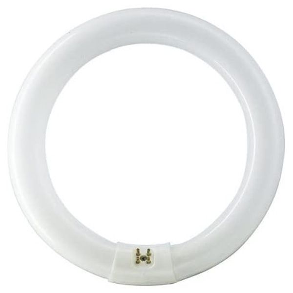FC22w -BL368  22w T9 216mm Circular BL368 Flykiller tube 4 pin by Sylvania