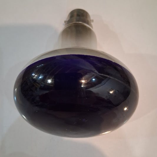 R80 Spot 100 watt BC / B22 VIOLET from £1.95